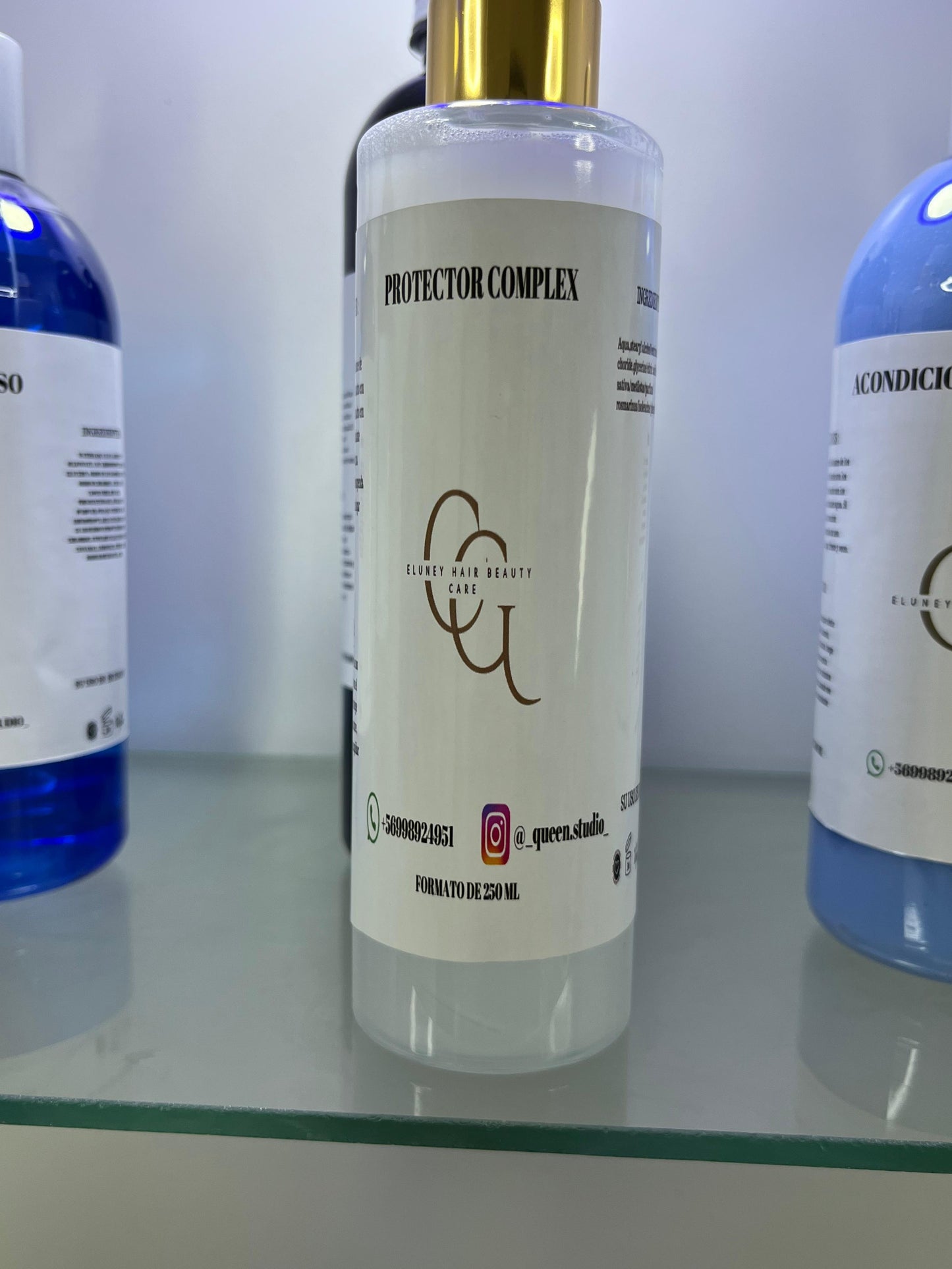 Protector Complex